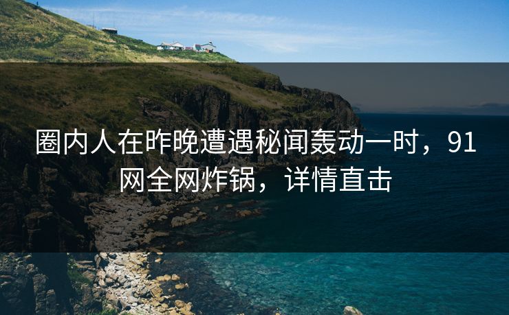 圈内人在昨晚遭遇秘闻轰动一时，91网全网炸锅，详情直击