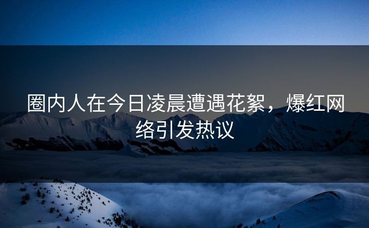 圈内人在今日凌晨遭遇花絮，爆红网络引发热议