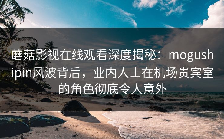 蘑菇影视在线观看深度揭秘：mogushipin风波背后，业内人士在机场贵宾室的角色彻底令人意外